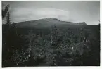 Åreskutan, Jämtland, manövern 1942 (enligt text baksida kort).