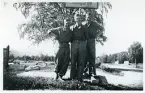 Olsson, Thors och jag (Bengt Hultin), 1942 (enligt text i album).