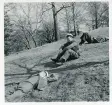 Slottsparken i Uppsala, dagen efter. 1/5 1942 (enligt text i album och baksida kort).