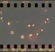 Tända ljus vid högtidlighållandet av årsdagen för mordet på Olof Palme.