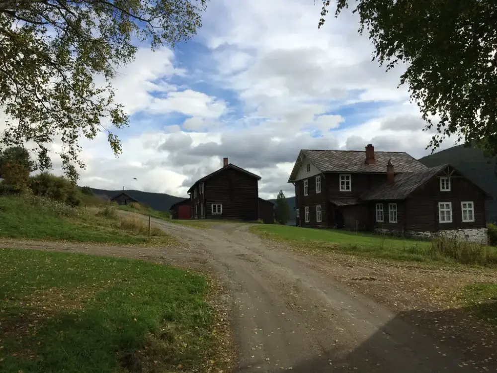 Veikle