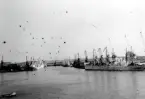 Göteborgs hamn.