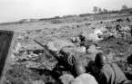 20 mm automatkanon m/40.