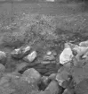 Vallersta, fornlämning.
29 juli 1958.