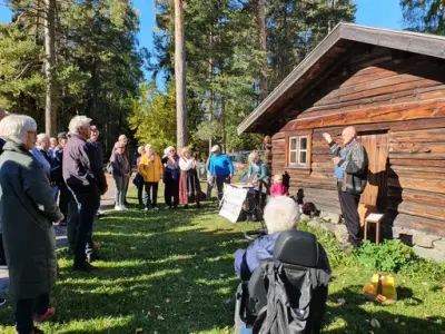 Medlemmer av Domkirkeoddens venner bidrar med sætervandring i friluftsmuseet på Domkirkeodden.