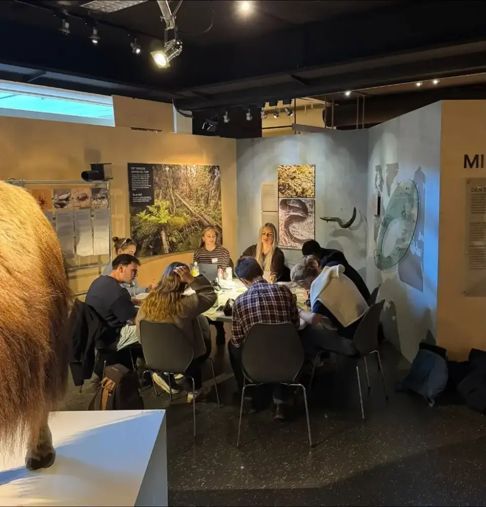  Studenter sitter rundt et bord og arbeider sammen i en utstilling på Norsk skogmuseum under Innovasjonscamp Innlandet.