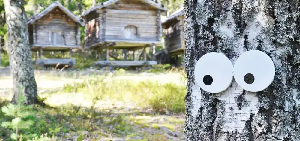 Ett par ögon på ett träd. Hus i bakgrunden.