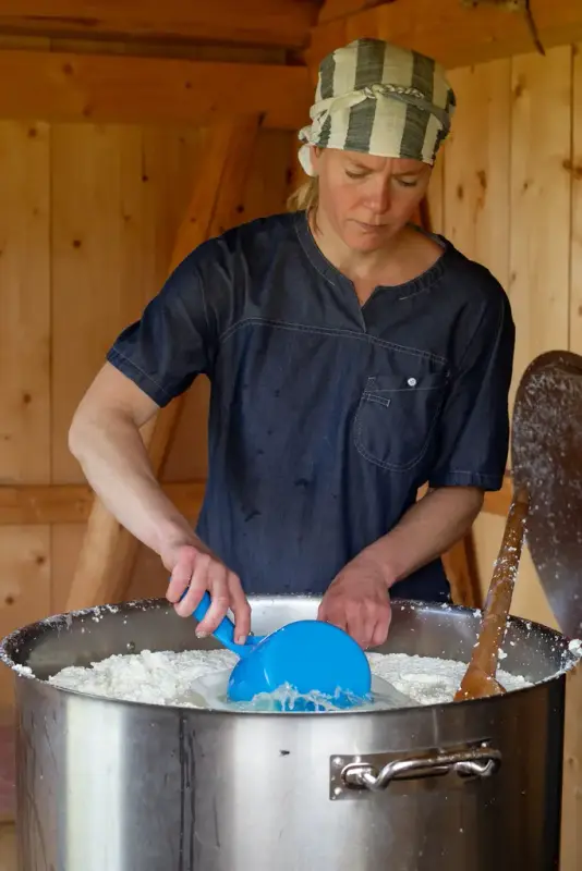 Det lages gammelost på Grindal ysteri